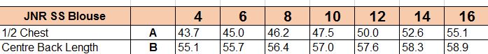 3449BRCJS - JNR Blue SS Blouse (Yr 7-10)