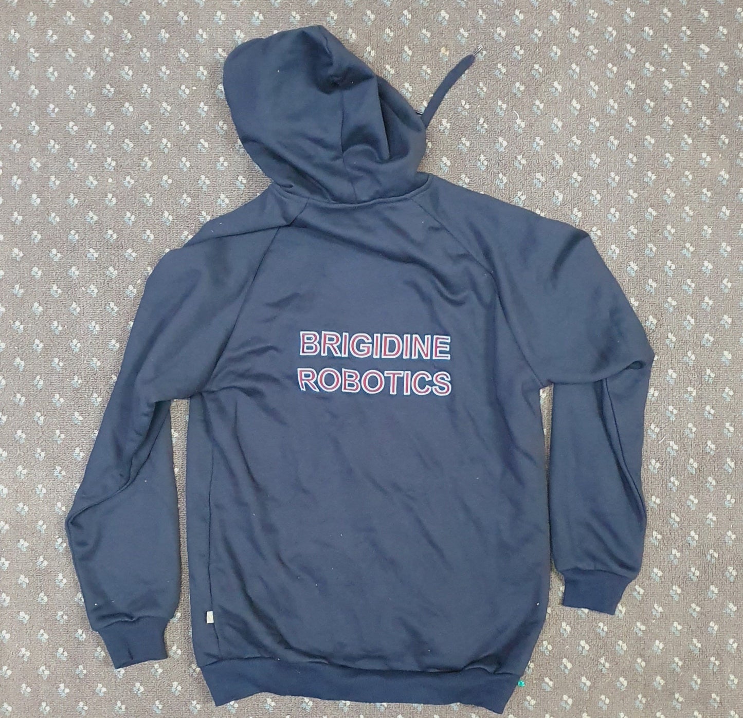 3460BRC - Dance Robotics Hoodie